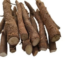 China Top growing rate paulownia shan tong roots cutting manufacturer
