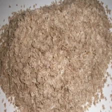 porcelana adaptar -25-45 grado de rápido crecimiento de semillas híbridas paulownia Shantong fabricante