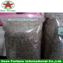 porcelana grado A de semillas paulownia paotong + para la plantación fabricante