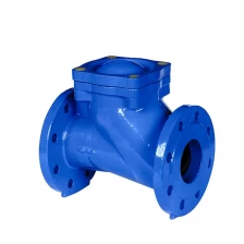 China Factory directly low price NBR ductile cast iron GGG50 12" PN16 threaded/flanged ball check valve DN300 for waste water manufacturer