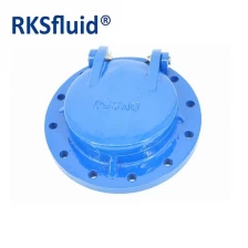 중국 플랩 밸브 플랩 게이트 플랩 디스크 주철 플랩 밸브 제조업체
