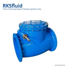 China Gas water oil BS5153 DIN PN16 ductile Iron resilient EPDM/NBR sealing swing check valve manufacturer
