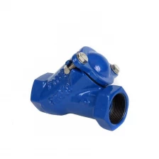 China Offer check valve DIN3202-F6 PN10 PN16 cast ductile iron flange and thread end ball check valve supplier manufacturer