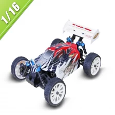 China 1/16 scale electric power off-road buggy TPEB-1605 manufacturer