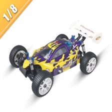 China 1/8 Scale 4WD nitro gas powered off road buggy TPGB-0821 manufacturer