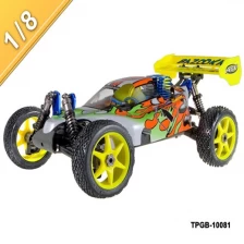 China 1/8 scale Nitro Power off-Road Buggy TPGB-10081 manufacturer