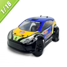 China 2.4G  1/18 Scale RC Electric Powered Rally Car TPER-1808 manufacturer