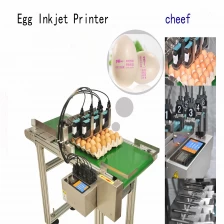 China advanced cheap high stability tij printing machine with edible ink cartridge batch printing on eggs manufacturer