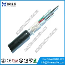 Chine 2-288 carottes Loose tube échouage câble GYTA fabricant