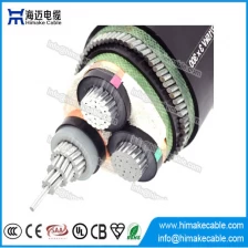 Chine Conducteur en aluminium de MT acier fil blindé câble d’alimentation avec tension 3.6/6KV à 26/35KV fabricant