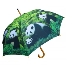 China 23inch*8K Curved Wooden Handle And Wooden Shaft Beautiful Design Gift Umbrella manufacturer