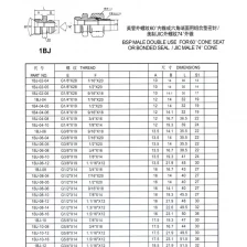 Chine 1BJ tube fittings fabricant