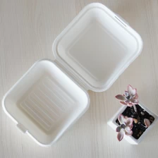 China 6*6inch disposable take away food packaging containers manufacturer manufacturer