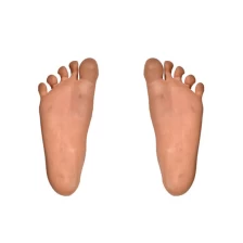 Κίνα Προμηθευτές ιατρικού μοντέλο πόδι Κίνα PU αφρού χύτευσης πολυουρεθάνης αφρό μοντέλο πόδι μια καρφίτσα αυτο πολυουρεθάνης εκδορά μοντέλο υλικό κατασκευαστής