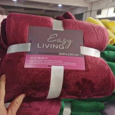 China Ready to Ship Soft Coral Fleece Blanket In Stock manufacturer