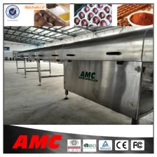 Cina cinese buon fornitore tunnel cioccolato di raffreddamento per biscotti e pane produttore