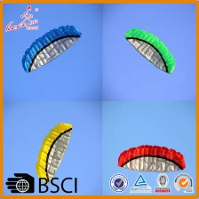 China 2.5 M hot sale dual line paraglider kite power kite from the kite factory manufacturer