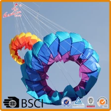 China 2m ring kite lotus kite from the kite factory manufacturer
