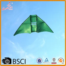 China Best selling huge hang gliding kite from the kite factory manufacturer