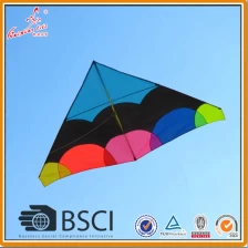 China Big delta kite te koop fabrikant