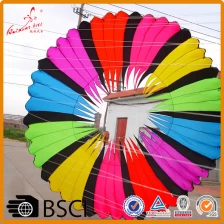 China Dia 5m Large Ring Kites Bol Spinner from kaixuan kite factory manufacturer