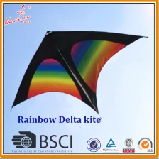 China Gemakkelijk Flying Rainbow Delta Kite te koop fabrikant
