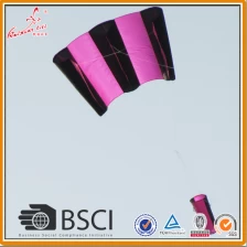 China Fishing kite from the kite factory manufacturer