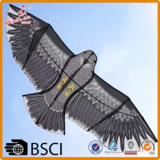 China Alta qualidade esportes ao ar livre 1.8 m águia pipa com alça e linha de 50m fabricante