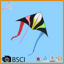 China Kaixuan Easy flying Single Line Delta Kite manufacturer