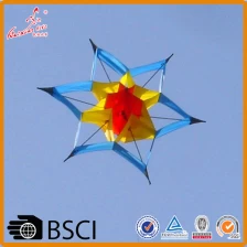 China Nieuwe ontwerp stunt kite 3D grote lotus kite van de vlieger fabriek fabrikant