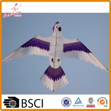 China Parrot Bird kite for Kids from Kaixuan Kite factory manufacturer