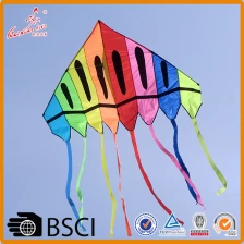 China Weifang kaixuan high quality easy fly large rainbow delta kite for sale manufacturer