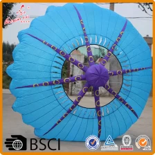 中国 定制特殊的环风筝与您的标志促销 制造商