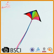 China good flying delta rainbow triangle kite price manufacturer