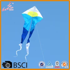 China high quality delta kite with long tail outdoor toy from kite manufacturer manufacturer