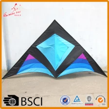 China outdoor fun sports triangle kite  easy fly kite manufacturer