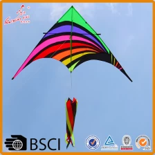 China outdoor fun sports triangle kite with flying tools manufacturer