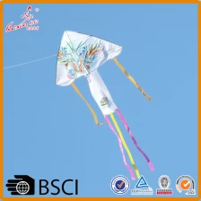 China outdoor sport customized full Color Printing delta promotional kite toy manufacturer