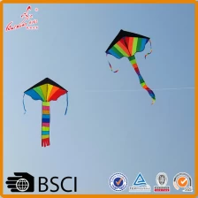China promotional chinese rainbow triangle shape kite without flying tools manufacturer