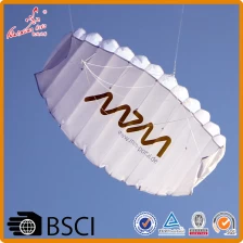 China promotional hydrofoil power kite from the kite factory manufacturer