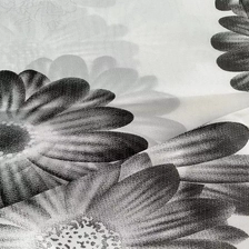 中国 35gsm pongee tc mattress  fabric - COPY - ik8rf5 制造商