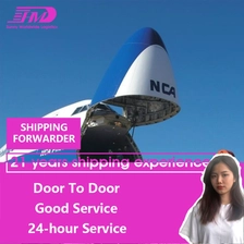 China DDP DDU sea freight forwarder door to door service shipping from China to USA freight forwarder