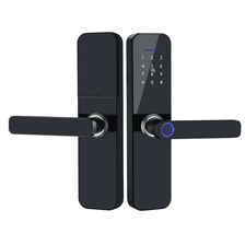 Chine TTlock – serrure intelligente avec télécommande Wifi M1, sécurité domestique, contrôle d'accès aux portes, antivol, serrure biométrique à empreintes digitales fabricant