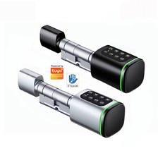 China Cilindro inteligente padrão euro com ttlock tuya, bluetooth, tamanho de cilindro ajustável, senha eletrônica, chave de cartão, bloqueio inteligente fabricante