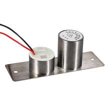 Chine Véritable OEM Secukey approvisionnement c-strike 9 T Type serrure à boulon électrique serrure de porte électronique étanche fabricant