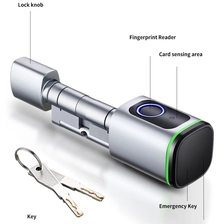 Қытай Орнату оңай Tuya TT Lock опциясы BLE RFID картасы саусақ ізі кілті Smart цилиндр құлпы фабрикант