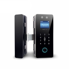 Cina Fornitore della fabbrica cinese Nuovo design Riconoscimento facciale Porta in vetro Smart Lock Password Palmprint Key Fingerprint Lock produttore