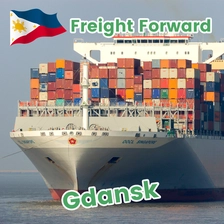 Tsina Swwls Global Shipping From China to Manila Cebu Davao Philippines ddu ddp shippin agent door to door shipping cargo service Freight forwarder