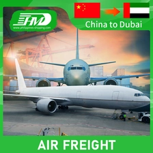 中国 廉价的快速空气/海洋货运公司从中国到美国加拿大欧洲阿联酋中东 货运代理