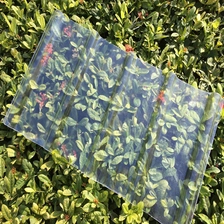 porcelana Plástico corrugado transparente, lámina de tejas transparentes para el fabricante de techos China fabricante